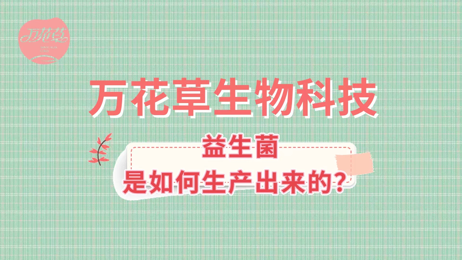帶您了(le)解益生(shēng)菌是(shì)如(rú)何生(shēng)産出來(lái)的(de),好(hǎo)的(de)廠(chǎng)家(jiā)哪裡(lǐ)找？