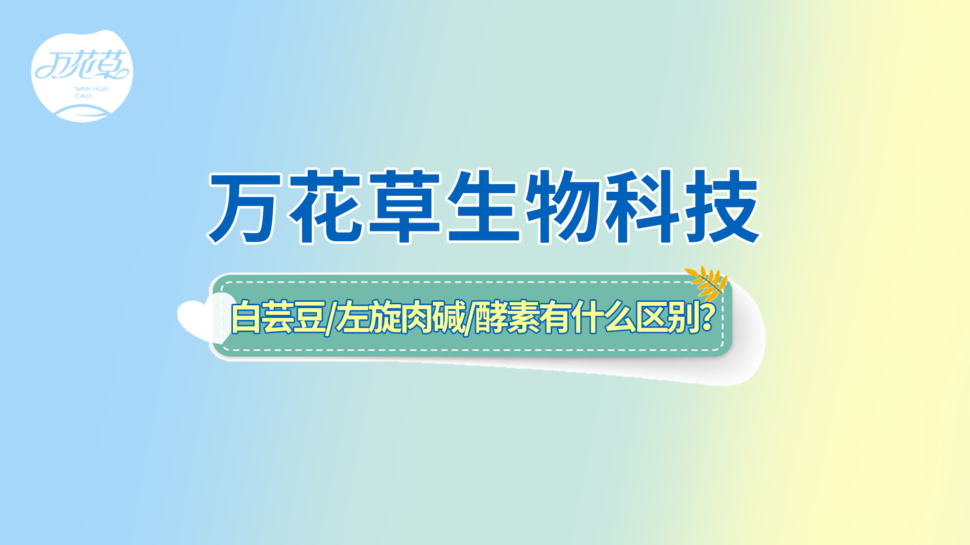 白(bái)芸豆、左旋肉堿、嗨吃(chī)酵素有(yǒu)什(shén)麽區(qū)别？