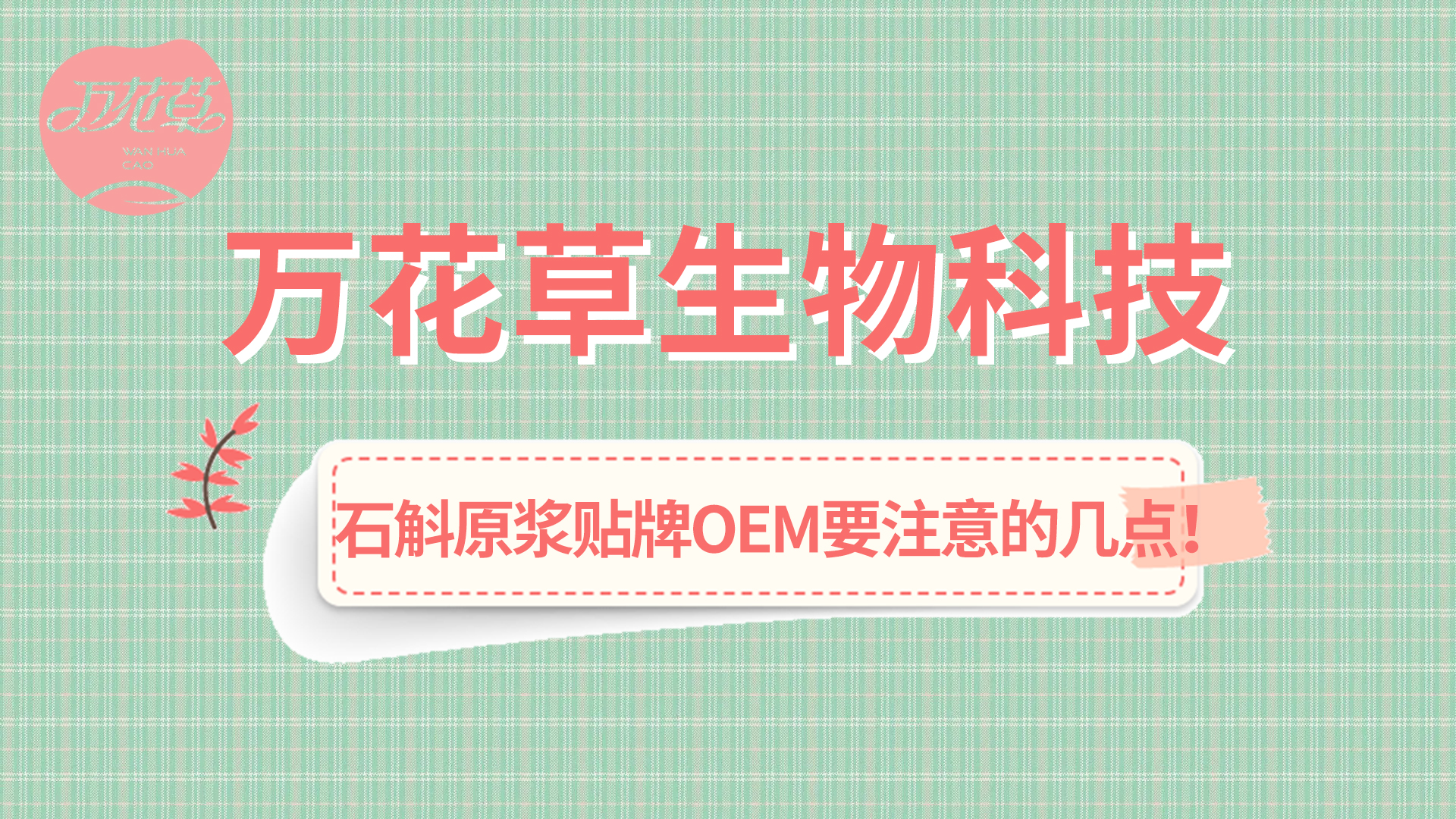 石斛原漿貼牌oem您需要(yào)注意哪幾點？